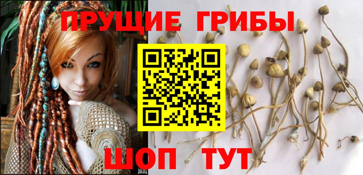 Псилоцибиновые грибы Magic Shrooms Фролово