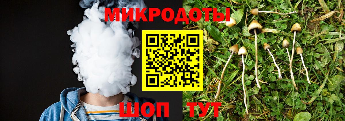 Фролово  Псилоцибиновые грибы MAGIC MUSHROOMS  Вход с VPN 